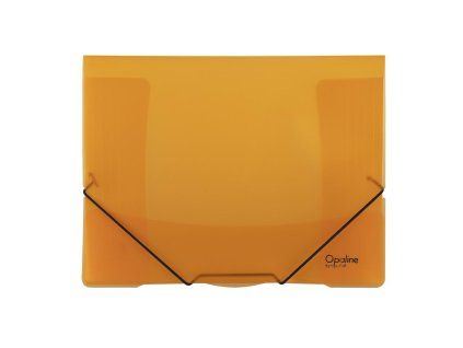 Plastový obal s gumičkou Karton PP Opaline, oranžový