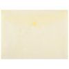 Plastový obal A4 s cvočkom DONAU žltý