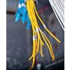Rhino nylon black on white 18488 18489 1734524 cables_application