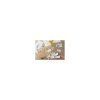 Samolepiace etikety Brother DK22212 62 mm x 15,24 m biela plastová fóliova